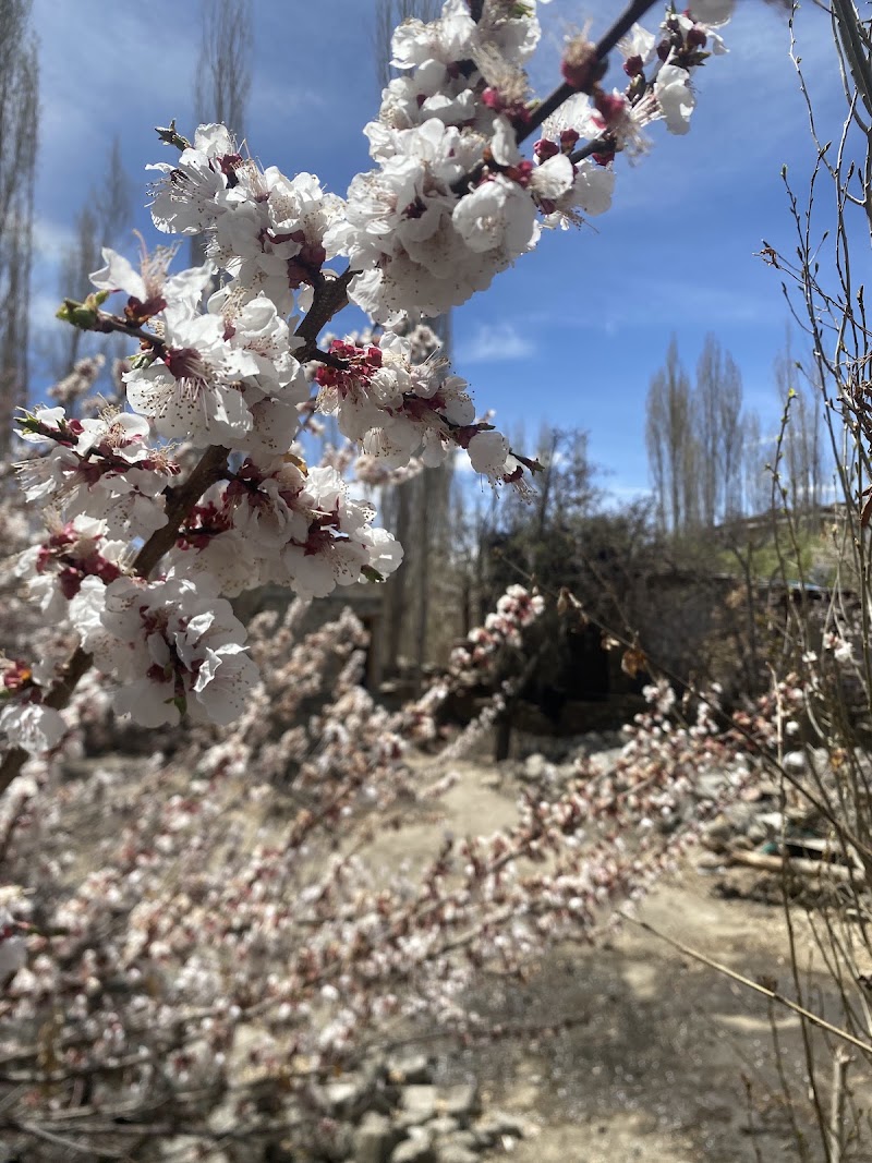Amttai Cafe - Amttai Cafe Fort Rd, Leh, 194101