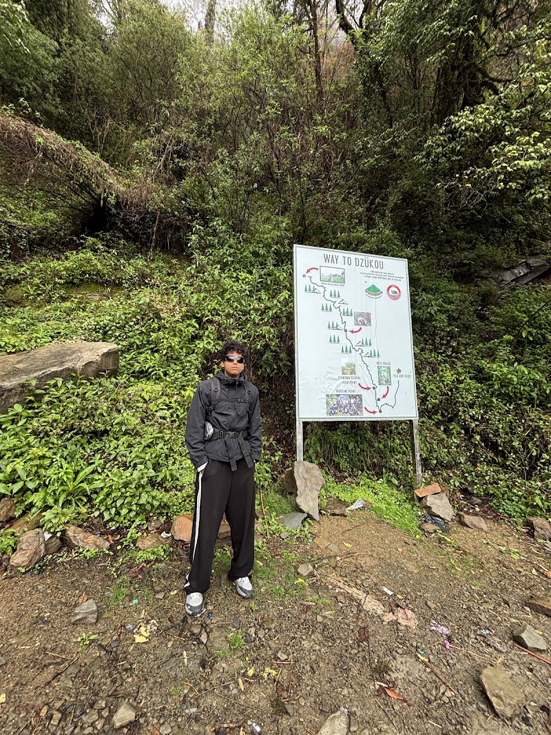 Dzukou Valley Trek Start Point - Dzukou Valley Trek Start Point G3VX+4R3, Viswema - Dzükou Vly Rd, Viswema, Nagaland 797006, India