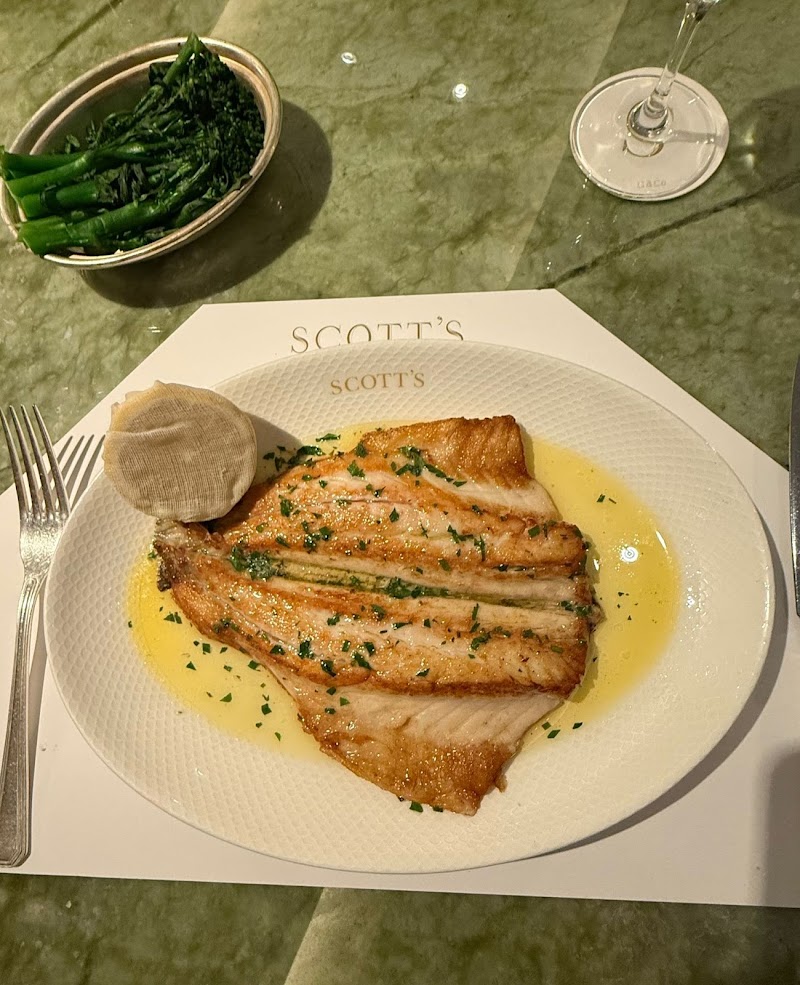 Scott's - Scott's 20 Mount St, London W1K 2HE, UK