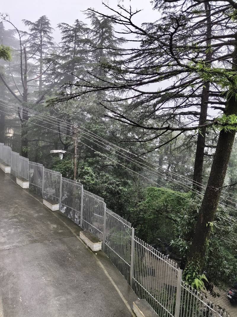 Circumambulation Way Dalai Lama Temple - Circumambulation Way Dalai Lama Temple 68JG+F9P, Dharamshala, Himachal Pradesh 176215, India