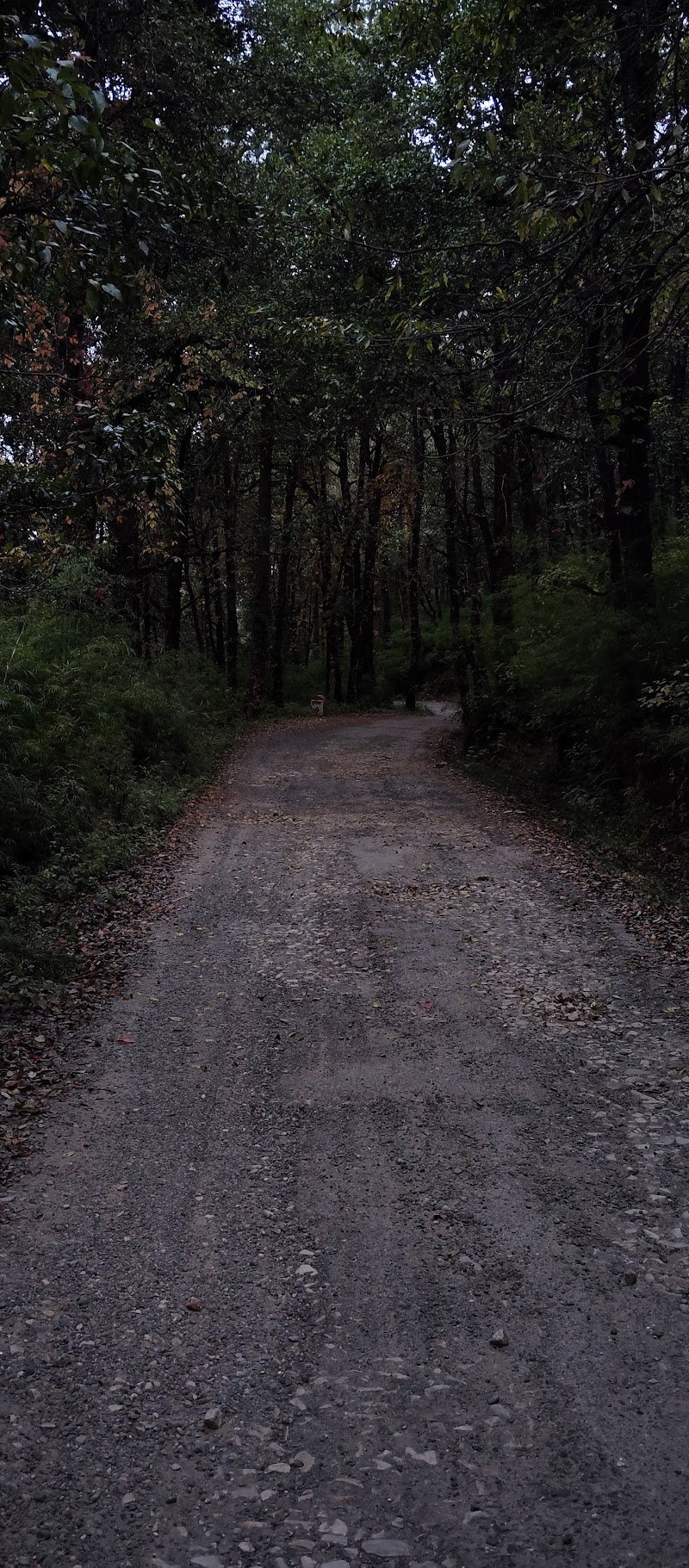 Peora post mukteshwar nainital Uttarakhand - Peora post mukteshwar nainital Uttarakhand FJFW+9V4, taluk, Mukteshwar, Uttarakhand 263138, India