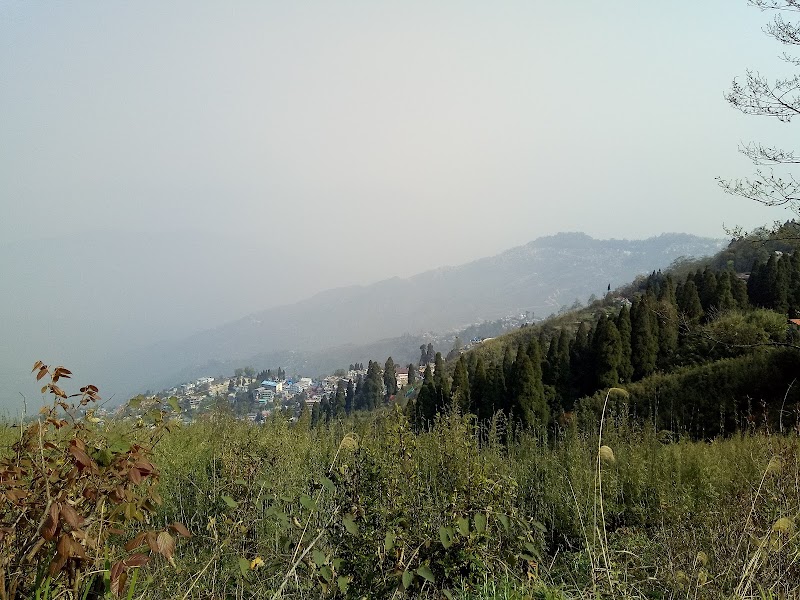 Jalapahar - Jalapahar, Darjeeling, West Bengal, India