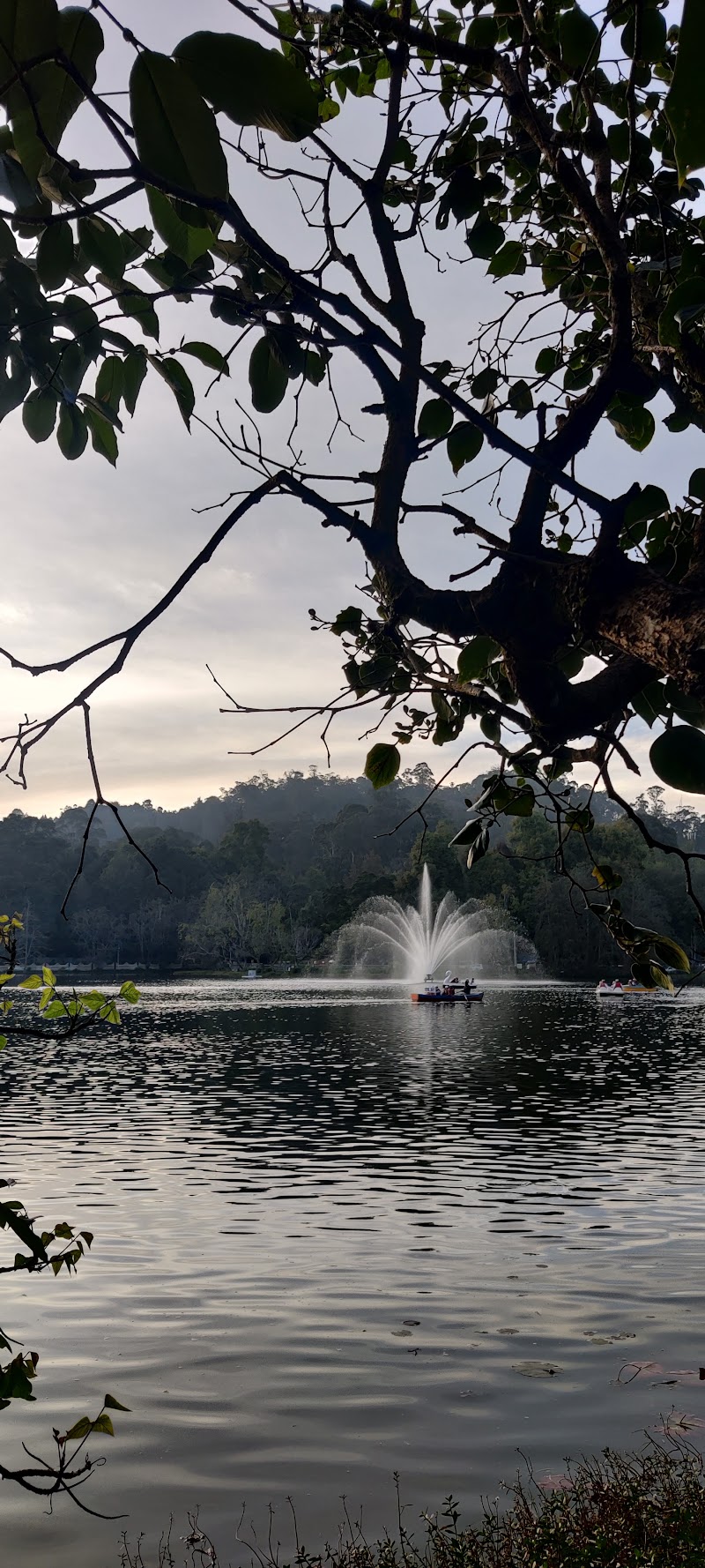 Kodaikanal lake - Kodaikanal lake 6FQQ+6MV, Kodaikanal, Tamil Nadu 624101, India