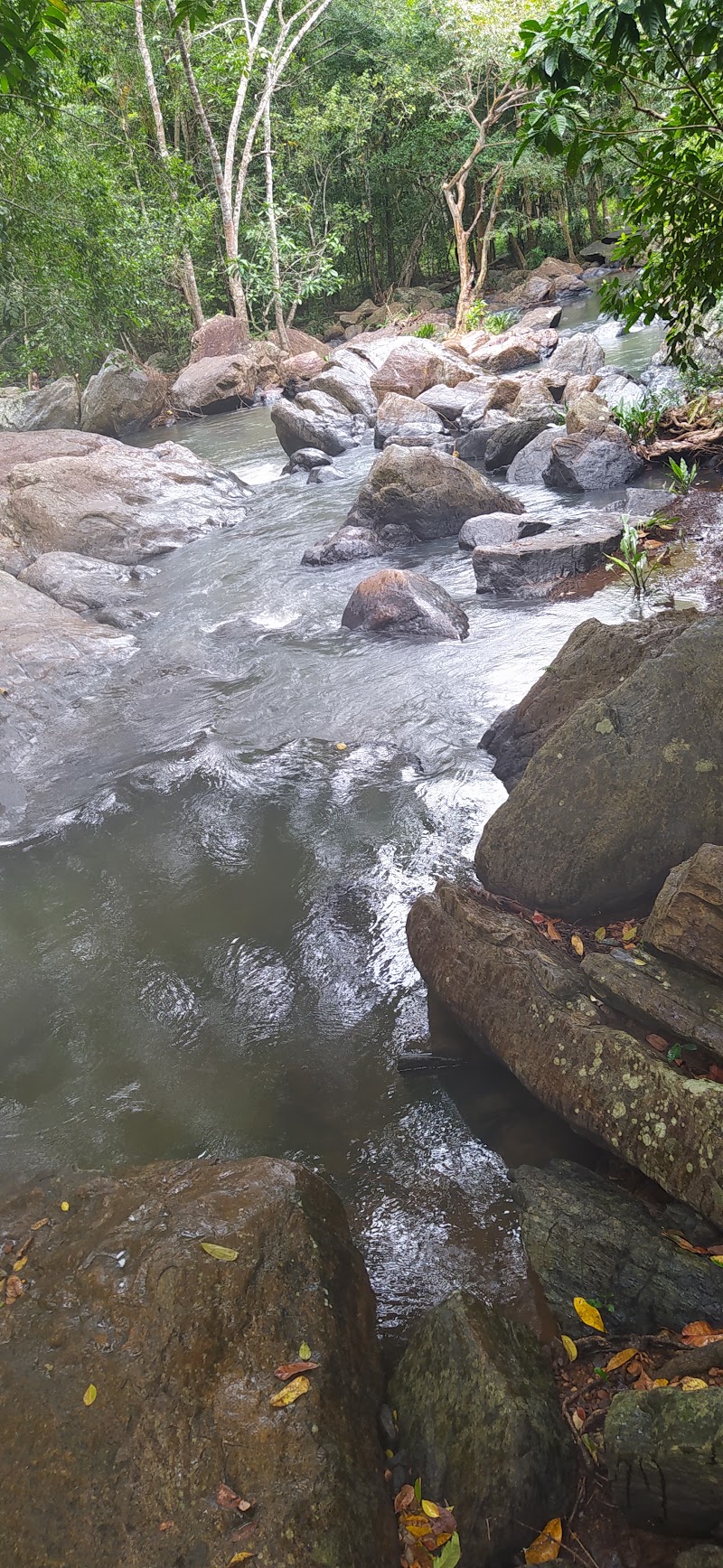 Algama Ella - Algama Ella, 553F+HM7 Algama, Paranathala, Sri Lanka