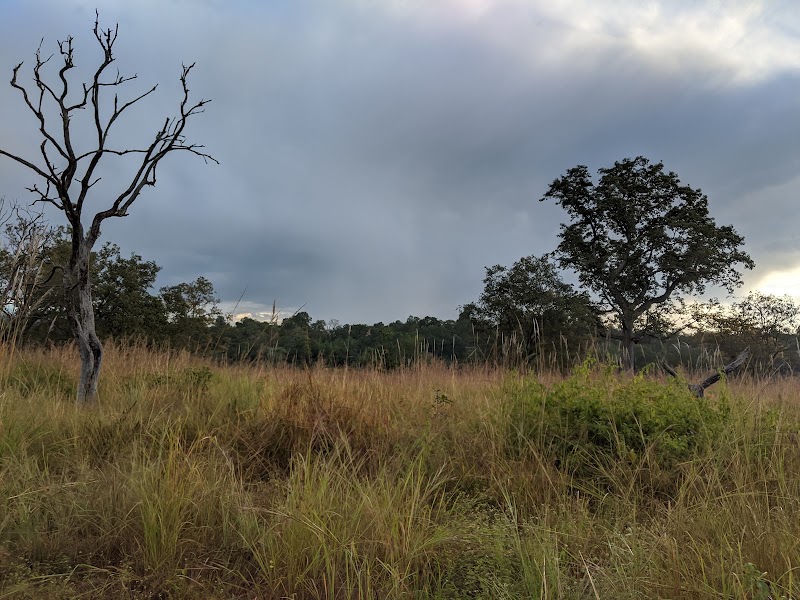 Jim Corbett Travels - Jim Corbett Travels, Near Lakhanpur Chungi, Beside SBI ATM, Close to Thapli Baba, Ramnagar, Uttarakhand 244715, India