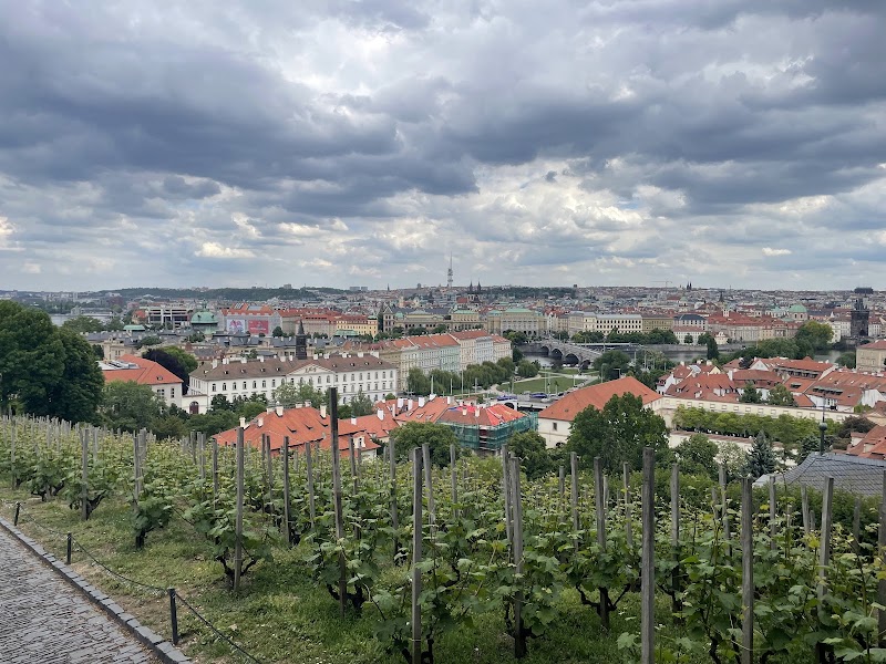 St. Wencesla's Vineyard - St. Wencesla's Vineyard, Staré zámecké schody 192/8, 119 00 Praha 1-Hradčany, Czechia