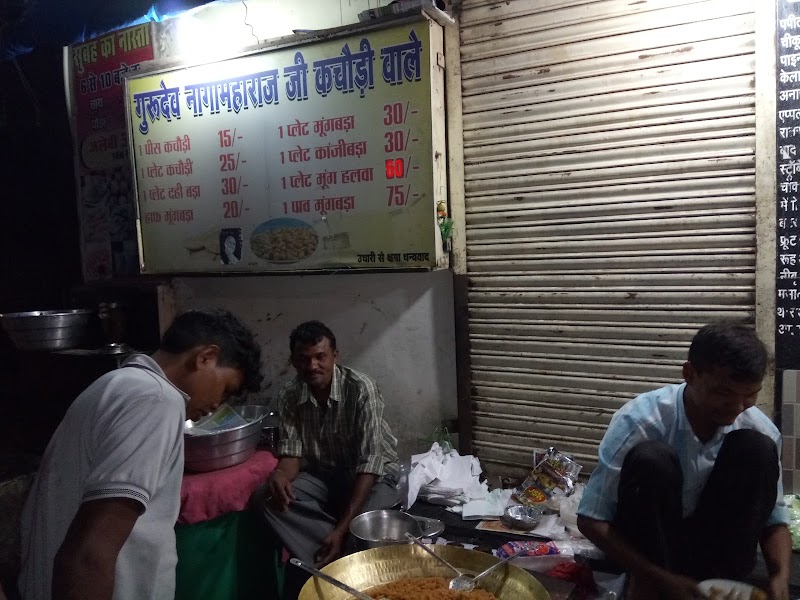 Naga Maharaj Kachori Waale - Naga Maharaj Kachori Waale 6JPQ+Q23, SH 2, Chottapara, Police Colony, Janta Colony, Raipur, Chhattisgarh 492001, India