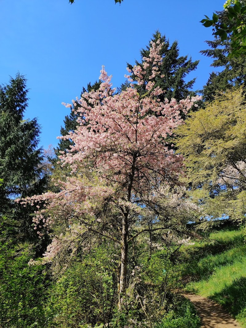 Hoyt Arboretum - Hoyt Arboretum, 4000 SW Fairview Blvd, Portland, OR 97221, USA