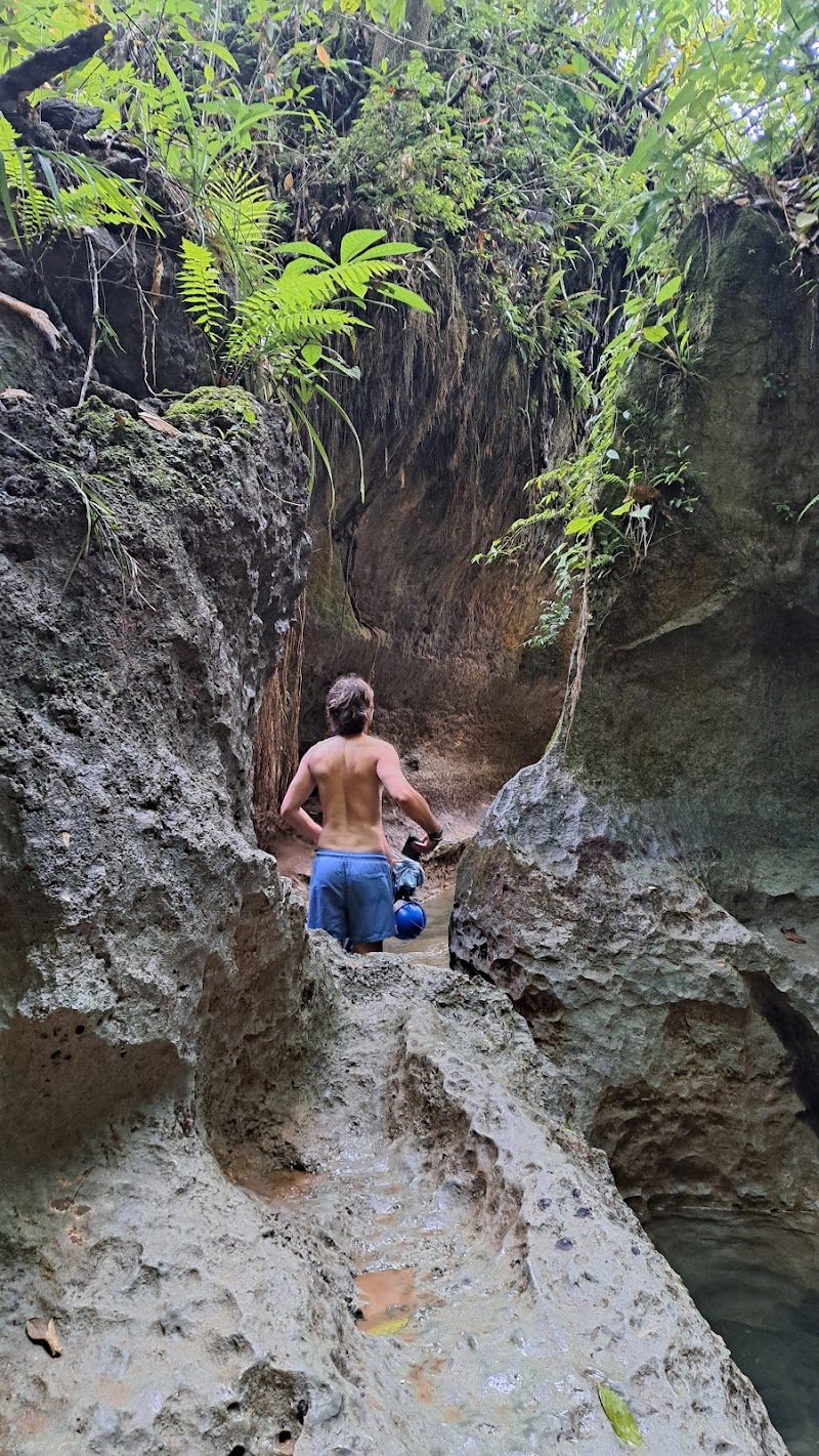 Tayangban Cave Pool - Tayangban Cave Pool, V367+G55, Siargao Circumferential Rd, Pilar, Surigao del Norte, Philippines