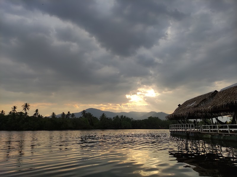 Green Cathedral - Green Cathedral, M52J+HW, Kampot, Cambodia