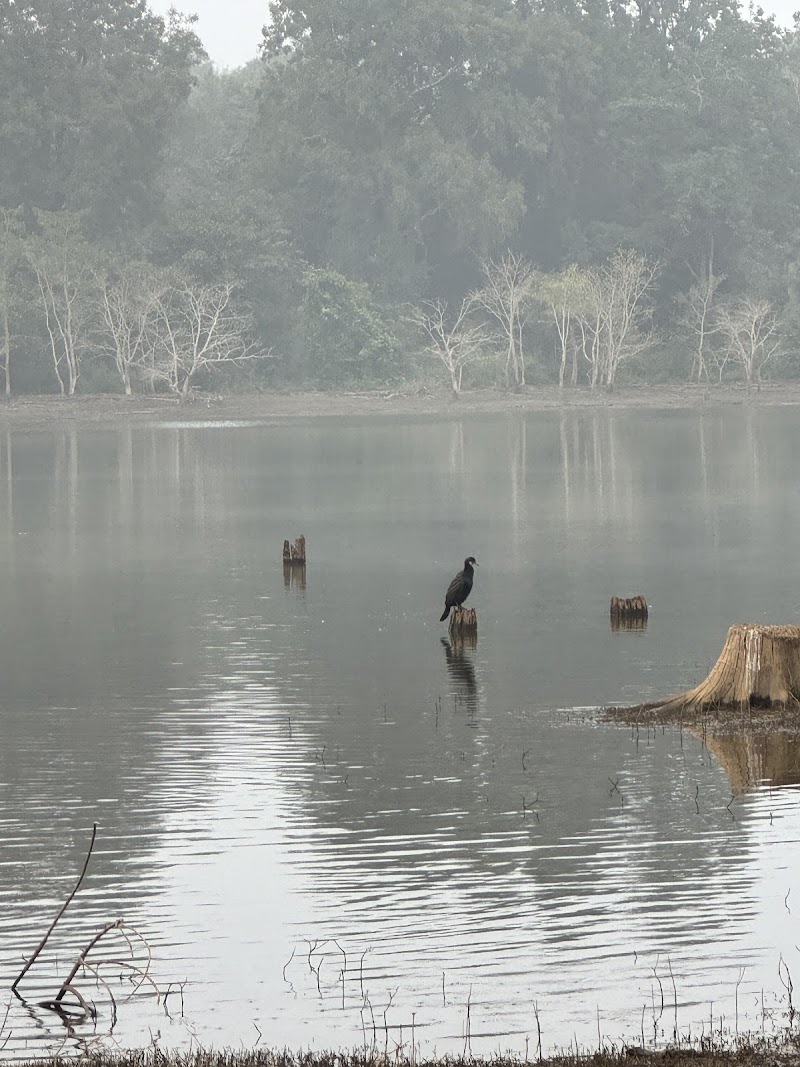 Kabini back water - Kabini back water, X7F8+9G4, Sundapura, Krishnarajapura, Halemagge, Karnataka 571114, India
