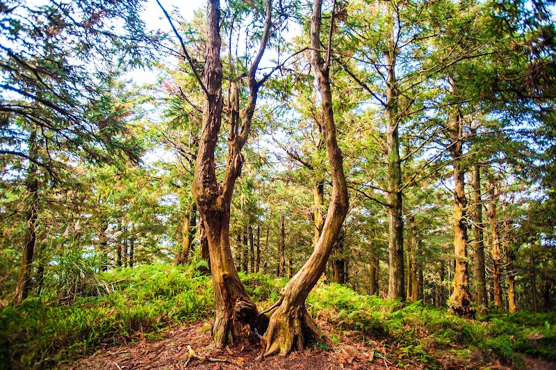 Daxueshan (Babo Rinisan) - Daxueshan (Babo Rinisan), Heping District, Taichung City, Taiwan 424