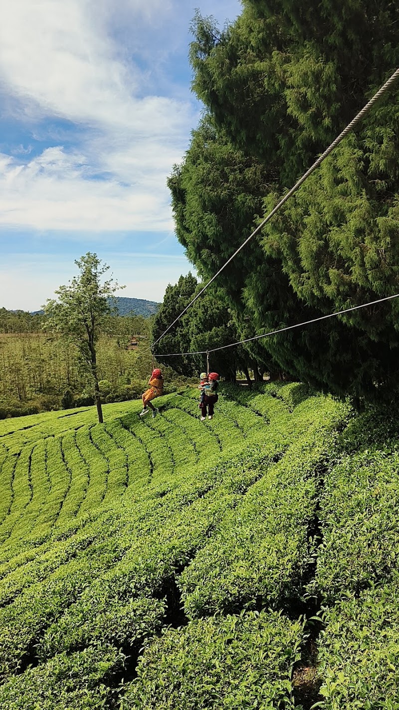 Zipline Suryanelli (400m)
