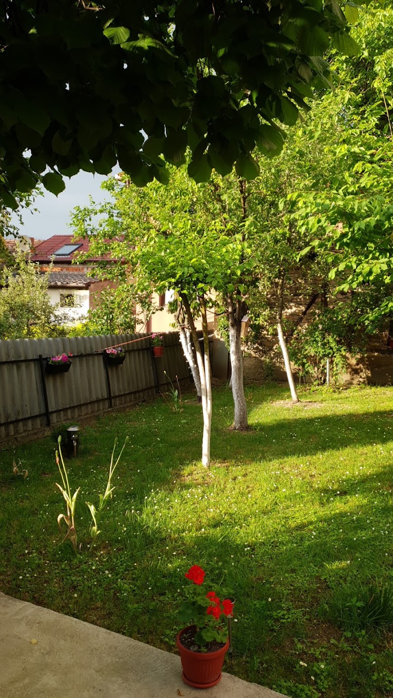 Apartments Old Town - Apartments Old Town, Bistrik-Medresa 20, Sarajevo 71000, Bosnia and Herzegovina