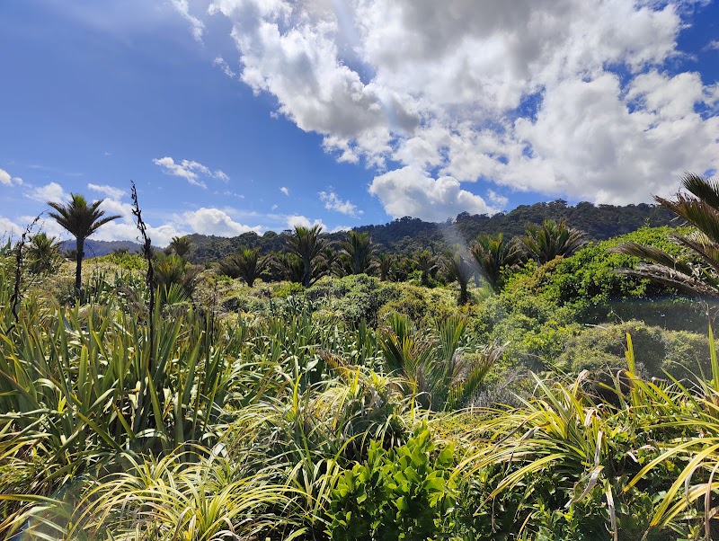 Pancake Rocks and Blowholes Track - Pancake Rocks and Blowholes Track, 4294 State Highway 6, Punakaiki 7873, New Zealand