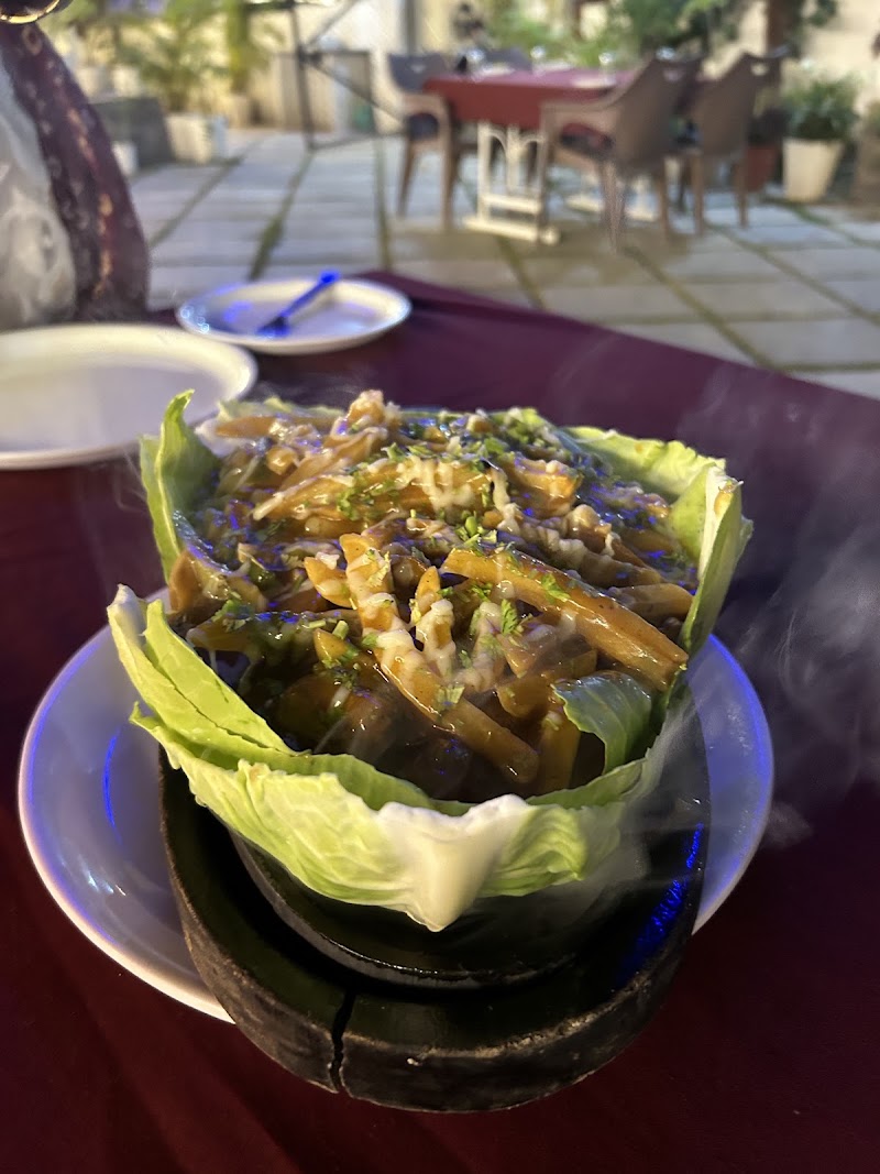 Hariyali Restaurant - Hariyali Restaurant RMV road, near Gulab Bagh, Old City, Brahmpuri, Udaipur, Rajasthan 313001, India