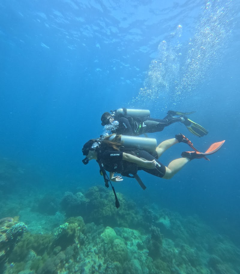 Mario's Scuba Diving and Homestay - Mario's Scuba Diving and Homestay, Apo Island, Dauin, Negros Oriental, Philippines