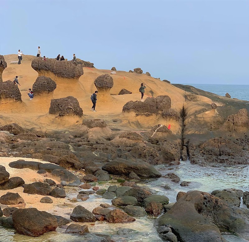 Yehliu Geopark - Yehliu Geopark, 207, Taiwan, New Taipei City, Wanli District, 港東路167-1號