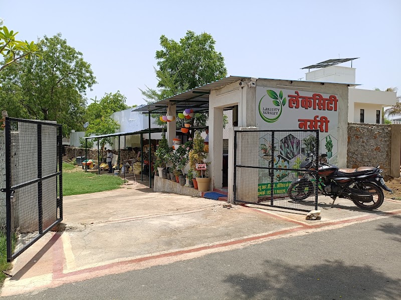 Lakecity Nursery - Lakecity Nursery JP4H+JC7, near New RTO, behind Swastik Heights, Hari Vihar Colony, Pahada, Raghunathpura, Udaipur, Rajasthan 313001, India