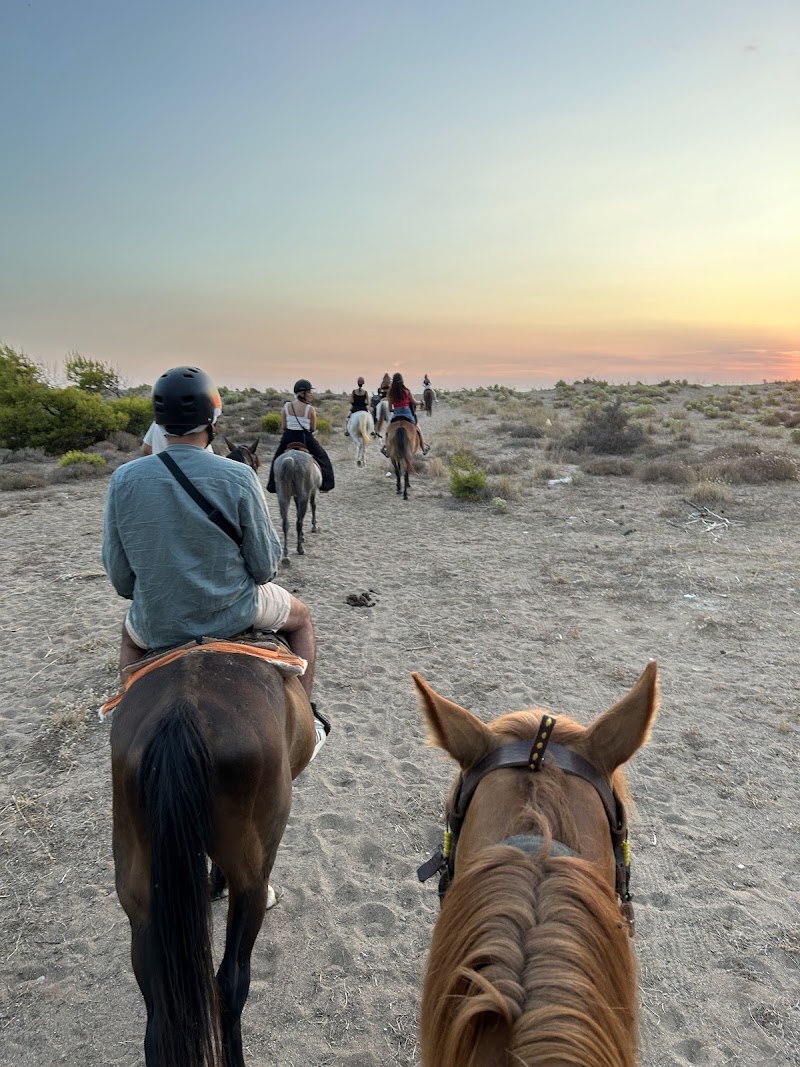 Elea Horse Riding - Elea Horse Riding, EO Pirgou Kiparissias, ΚΥΠΑΡΙΣΣΙΑ 245 00, Greece