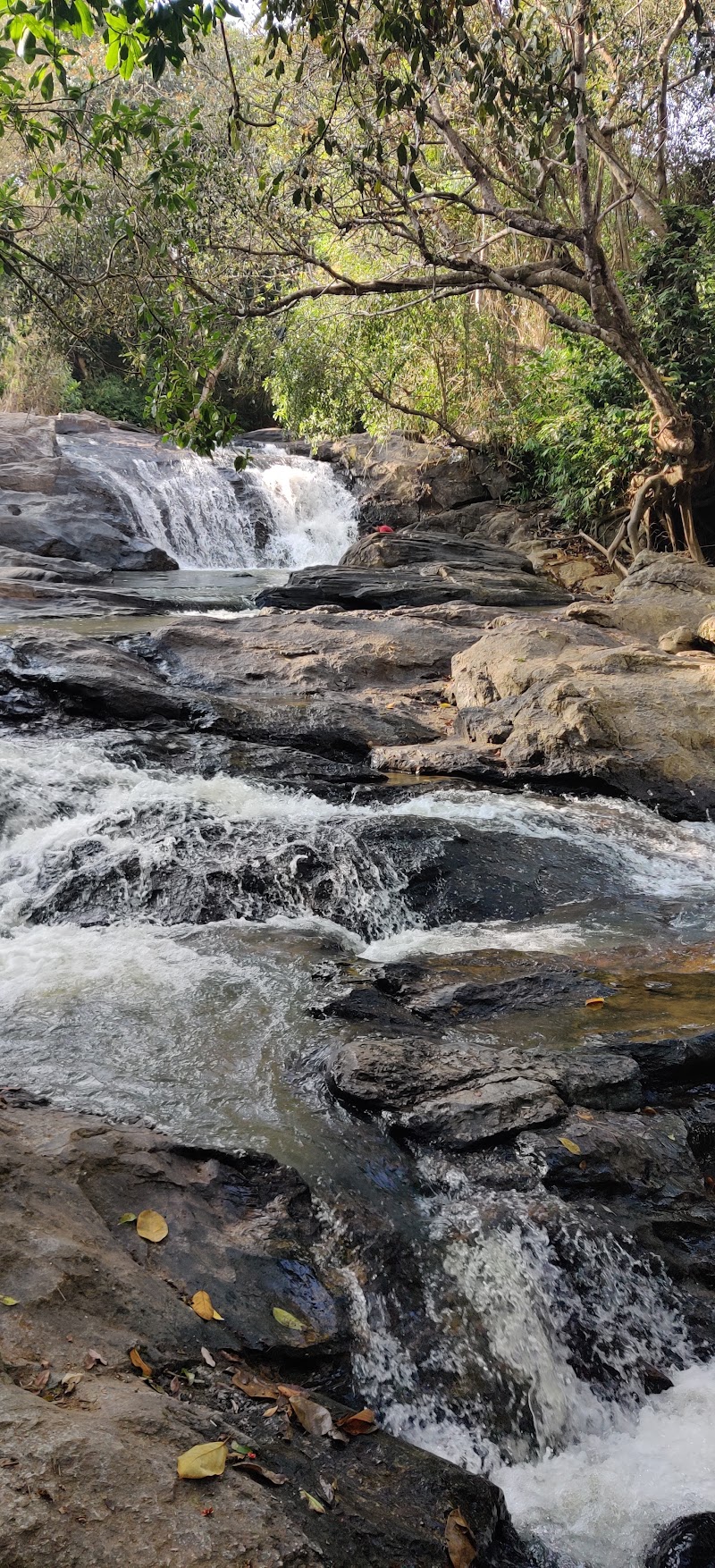Abbe Gundi Falls - Abbe Gundi Falls 2M6C+96C, Devaladakere, Karnataka 573165, India