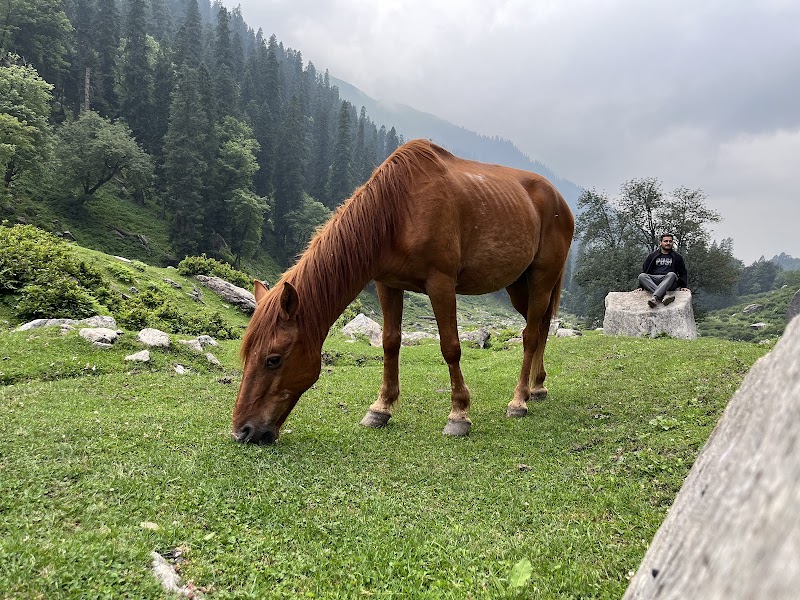 Lower Chikha Camp site - Lower Chikha Camp site 769X+J4P, Manali, Himachal Pradesh 175143, India