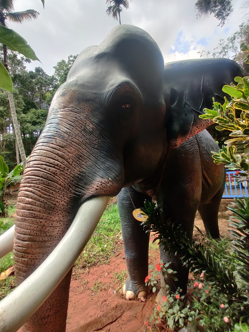 Dream Land Fun and Adventure - Dream Land Fun and Adventure PO, Anachal, Chithirapuram, Kerala 685565, India