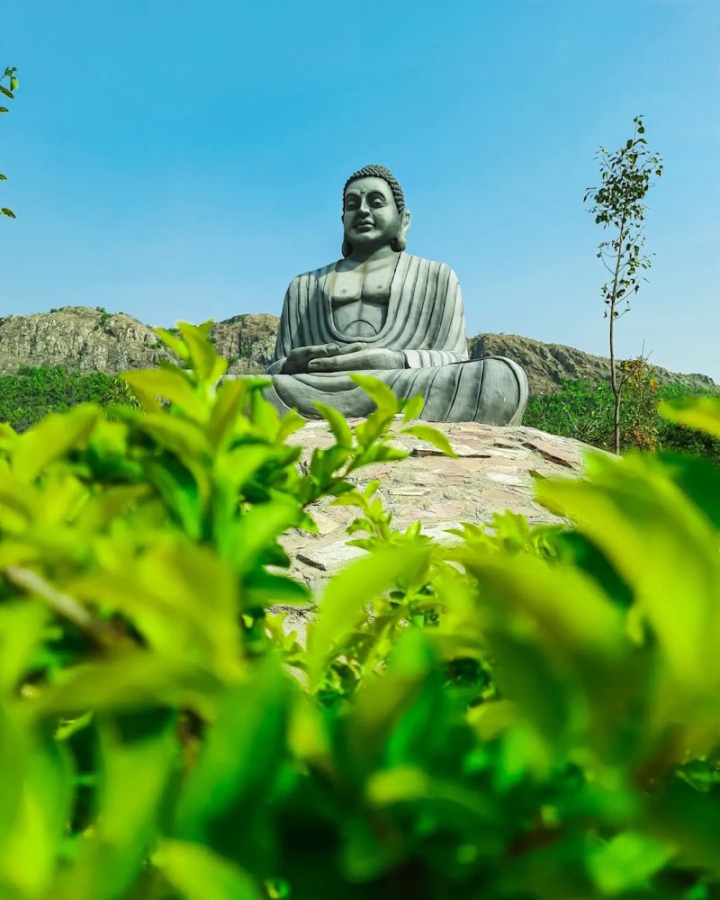 Nature Safari Park Rajgir - Nature Safari Park Rajgir Rajgir, Bihar 823311, India