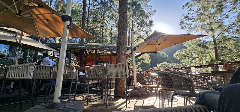 Brook & Pines Restaurant, Microbrewery & Grill - Brook & Pines Restaurant, Microbrewery & Grill Garkhal Kanda Road Kawali PO Kanda, Distt, Tehsil, Kasauli, Himachal Pradesh 173201, India