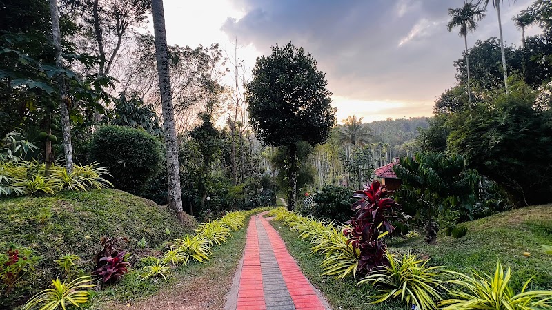Wayanad Coffee Vintage - Wayanad Coffee Vintage P4W9+GV, Nadavayal, Kerala 670721, India