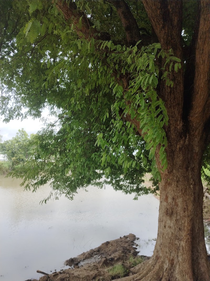 By-Pass Road - By-Pass Road, Christianpally, Mahbubnagar, Yenugonda Rural, Telangana 509002, India