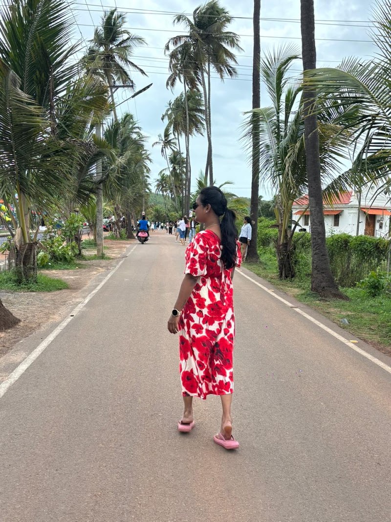 Parra coconut tree 🌴 road - Parra coconut tree 🌴 road, HQHJ+4RJ, St. Annes Church Rd, Parra, Goa 403510, India