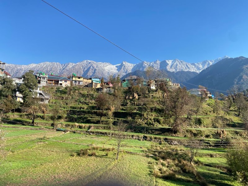Mcleodganj Diaries