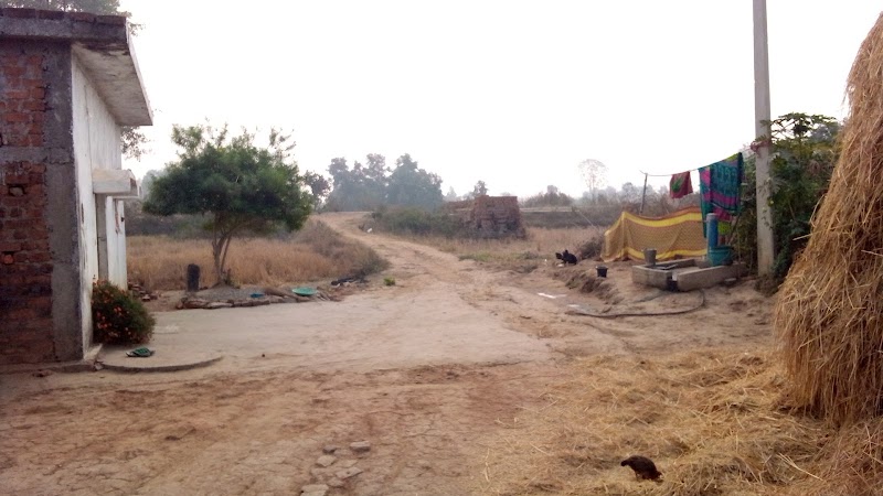 Tulsipara,/T.H./, chhattisgarh darlipara - Tulsipara,/T.H./, chhattisgarh darlipara, RJ6F+7H4, Darlipara, Chhattisgarh 493890, India