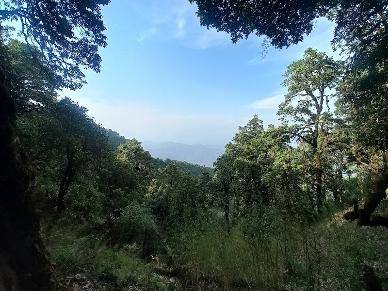 Binsar Wildlife Sanctuary - Binsar Wildlife Sanctuary PQ43+6H4, Binsar, Uttarakhand 263601, India