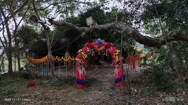 Rashbehari More - Rashbehari More, G88W+R88, Pratapaditya Rd, Anami Sangha, Sahanagar, Kalighat, Kolkata, West Bengal 700026, India