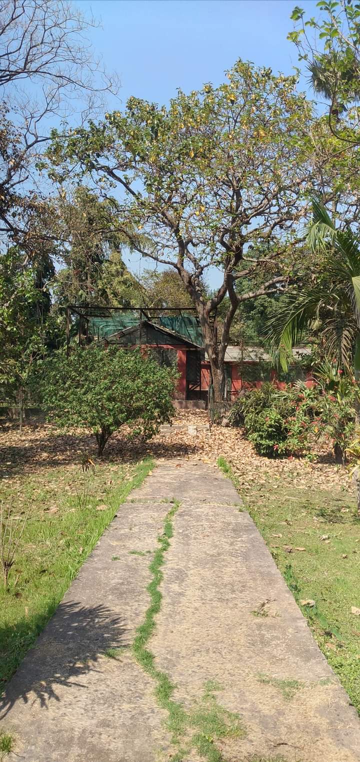 The Great Banyan Tree - The Great Banyan Tree B. Garden New Gate, Shibpur, Howrah, West Bengal 711103, India