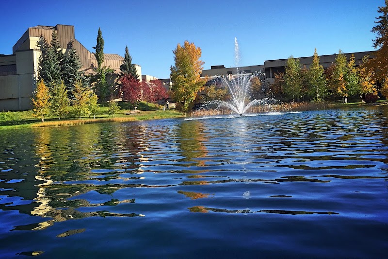 Mount Royal University - Mount Royal University, 4825 Mt Royal Gate SW, Calgary, AB T3E 6K6, Canada