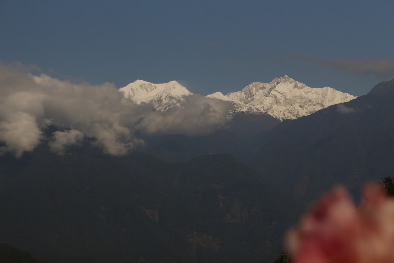 Mountain Lotus Cafe & Restaurant - Mountain Lotus Cafe & Restaurant Skywalk Road, Upper, Pelling, Sikkim 737113, India
