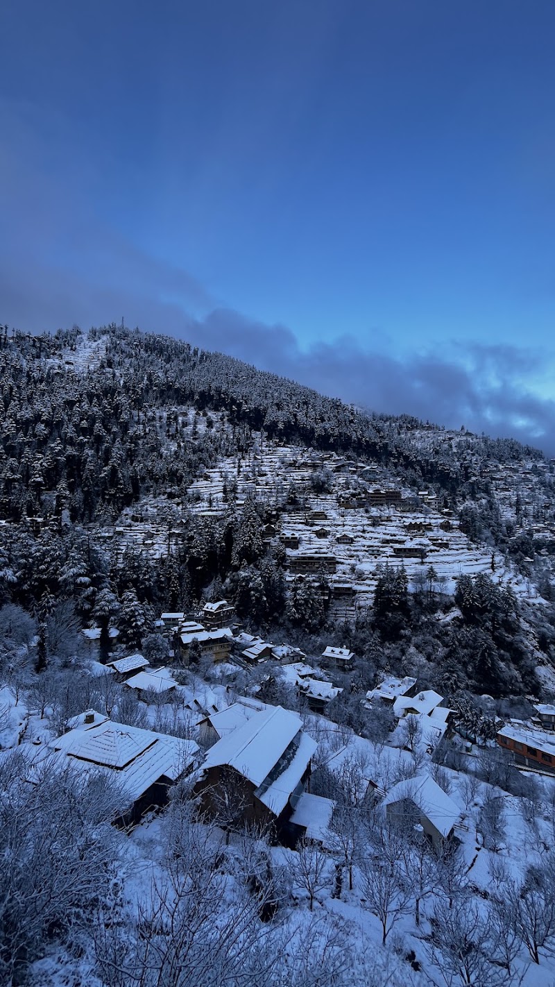 Jibhi Market - Jibhi Market Bus Stop, 305, National Highway, Jibhi, Rashala, Himachal Pradesh 175123, India