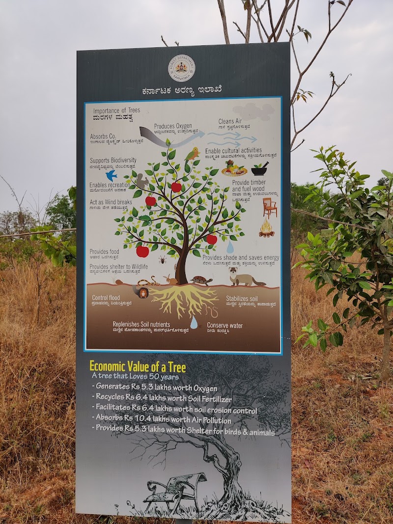 Turahalli Tree Park - Turahalli Tree Park VGFG+MVQ, Adarsha Layout, Lingadeeranahalli, Bengaluru, Karnataka 560109, India
