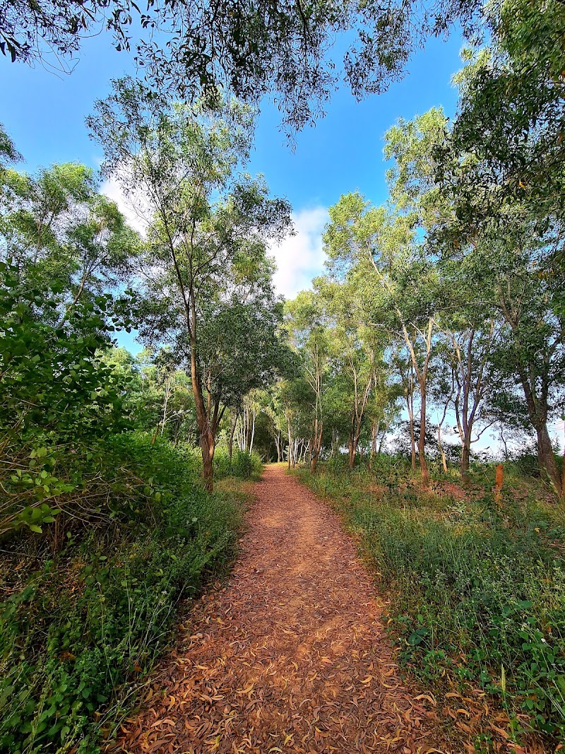 Avalahalli Forest - Avalahalli Forest 4GJW+7J6, Jarakbandekaval, Karnataka 560119, India