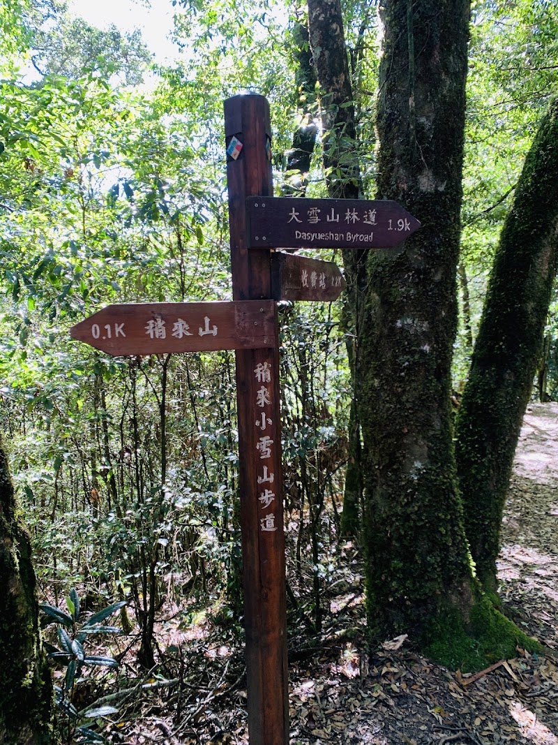 鳶嘴稍來小雪山國家步道木梯 - 鳶嘴稍來小雪山國家步道木梯, Heping District, Taichung City, Taiwan 424