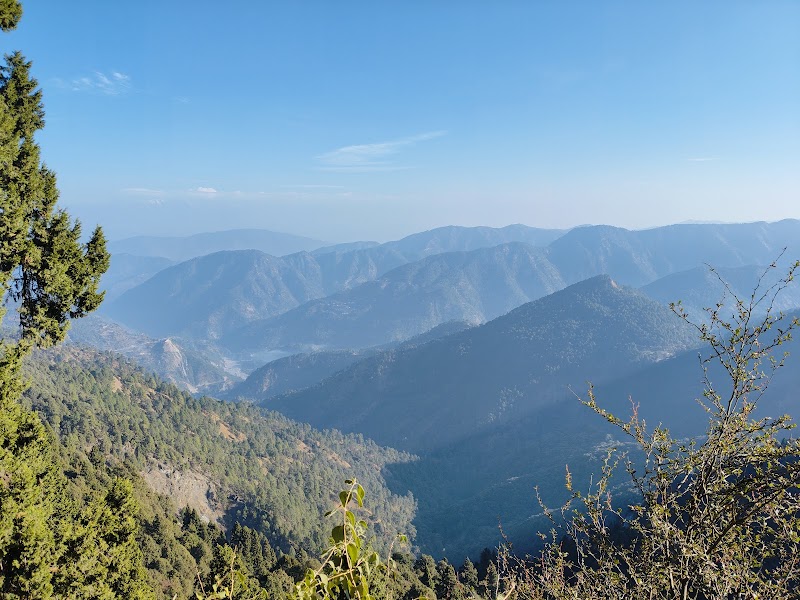 Kilbury and Pangot Wildlife and Bird Sanctuary - Kilbury and Pangot Wildlife and Bird Sanctuary CC9W+8JC, Pangoot, Naina Range, Uttarakhand 263132, India