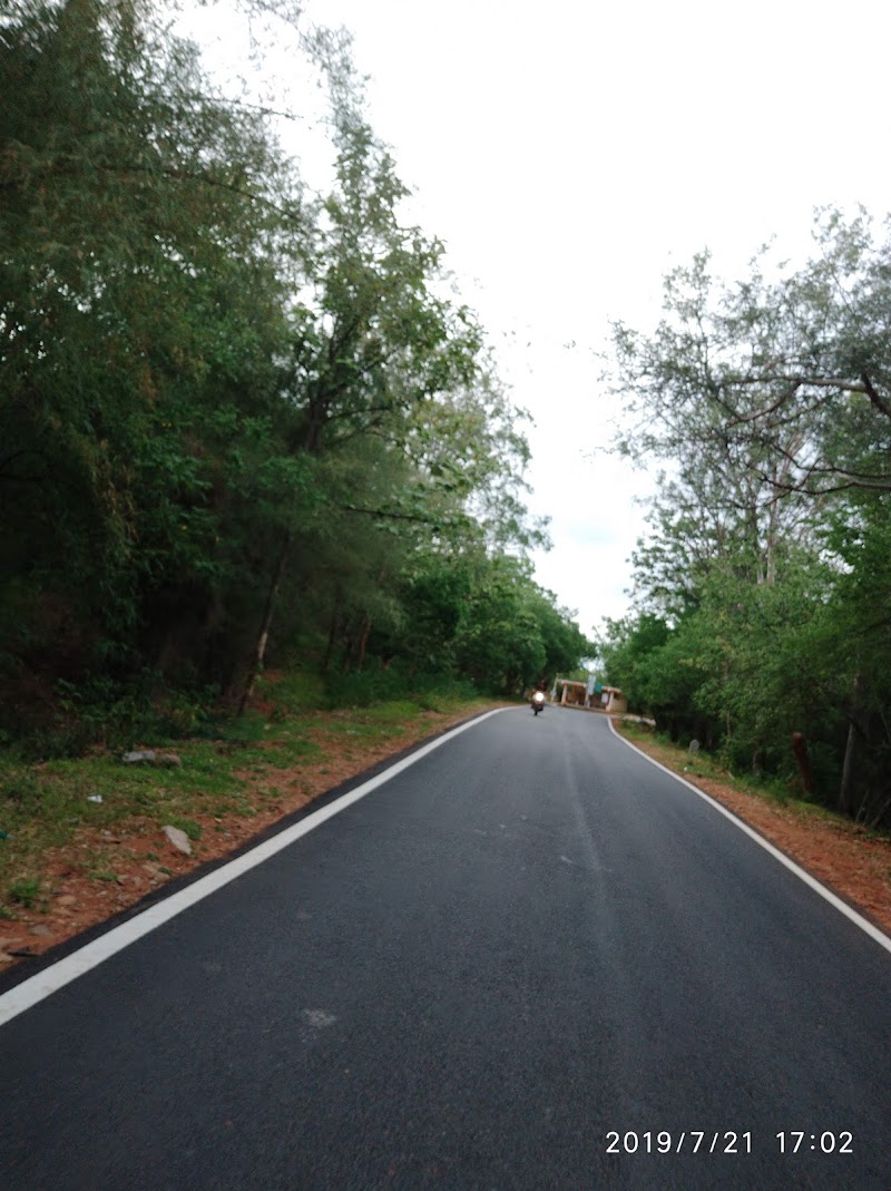 Devarayanadurga SF - Devarayanadurga SF, Karnataka 572140, India