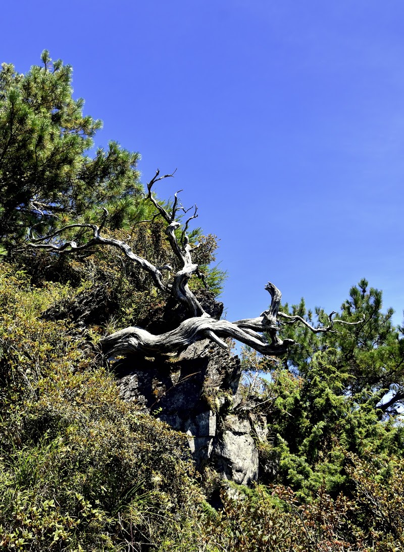 Kupo - Kupo, Unnamed Rd, Heping District, Taichung City, Taiwan 424