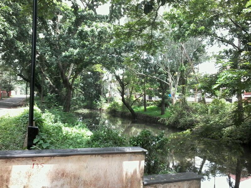 Alleppey Budget Homestay - Alleppey Budget Homestay, G942+99J, Punnamada, Finishing Point, Alappuzha, Aryad South, Keralam 688013, India