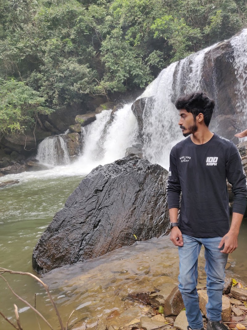 Mookanamane Abbi Falls - Mookanamane Abbi Falls QPMC+V4Q, Jedigadde, Karnataka 573123, India