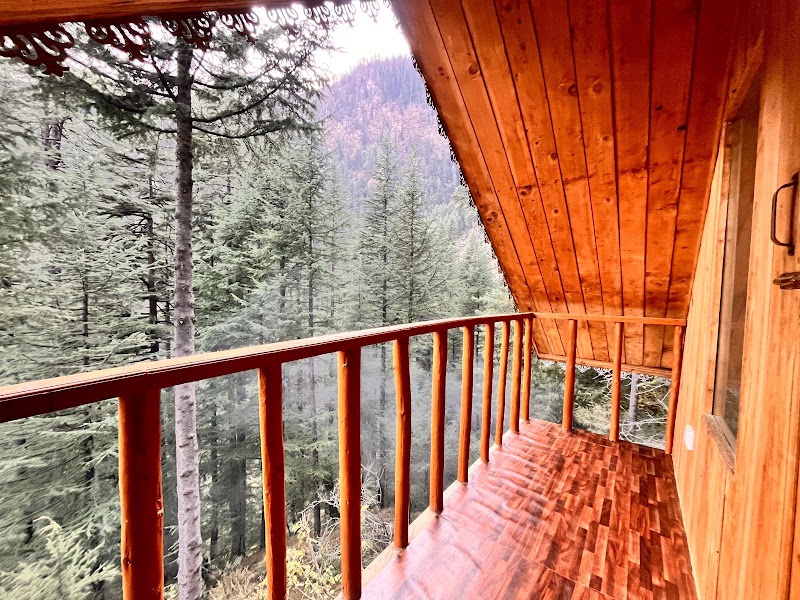 Jibhi Alpine heaven forest view - Jibhi Alpine heaven forest view p/o, Jibhi, Tandi, Himachal Pradesh 175123, India