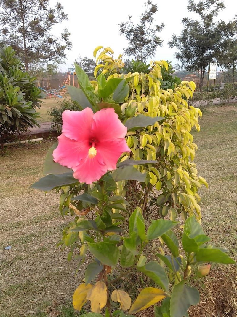 Babadham Bal Udyan - Babadham Bal Udyan, V9WC+33, Raigarh, Chhattisgarh 496001, India